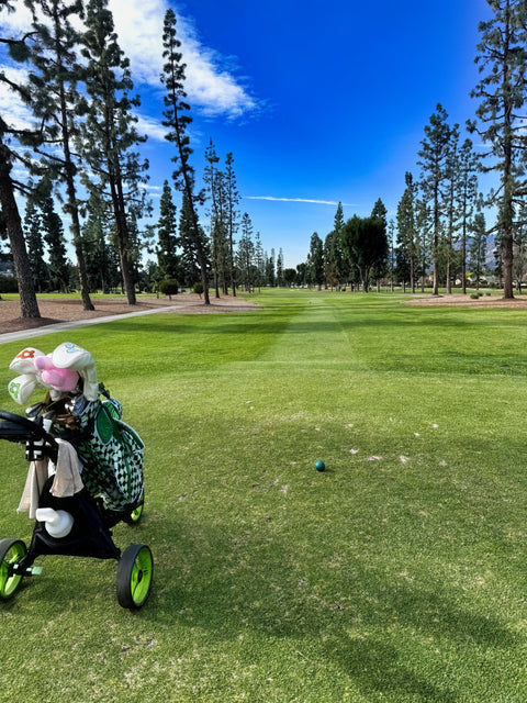 Stay Sharp from Tee to Green